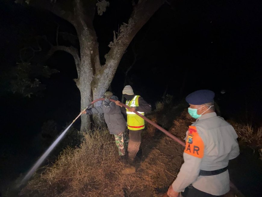 Karhutla TNBTS Meluas ke Jemplang, Bromo Ditutup dan Penyebab Api Diselidiki
