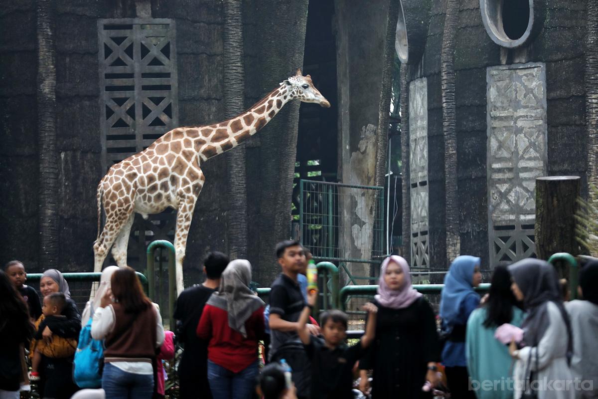 Tiket Ragunan Mau Naik Jadi Rp10 Ribu, Ini Alasan Pramono Anung