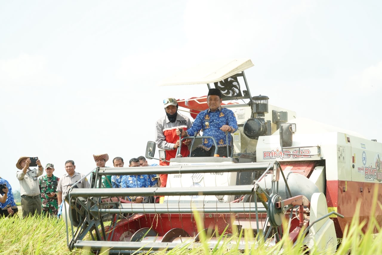 Mengenal Program Oplah Kementan dan Contohnya di Luwu, Tingkatkan Produksi Pangan Tanpa Buka Lahan